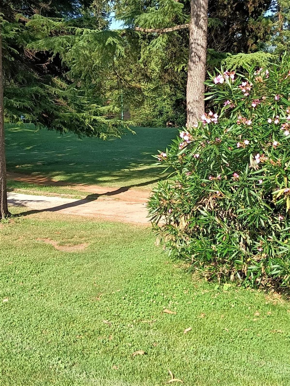 Fronte Del Golf Διαμέρισμα Ραπάλο Εξωτερικό φωτογραφία