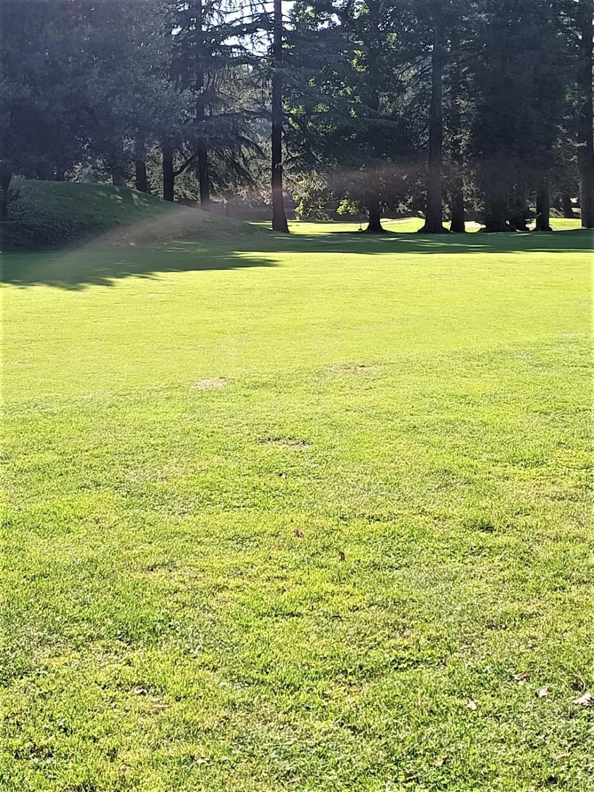 Fronte Del Golf Διαμέρισμα Ραπάλο Εξωτερικό φωτογραφία