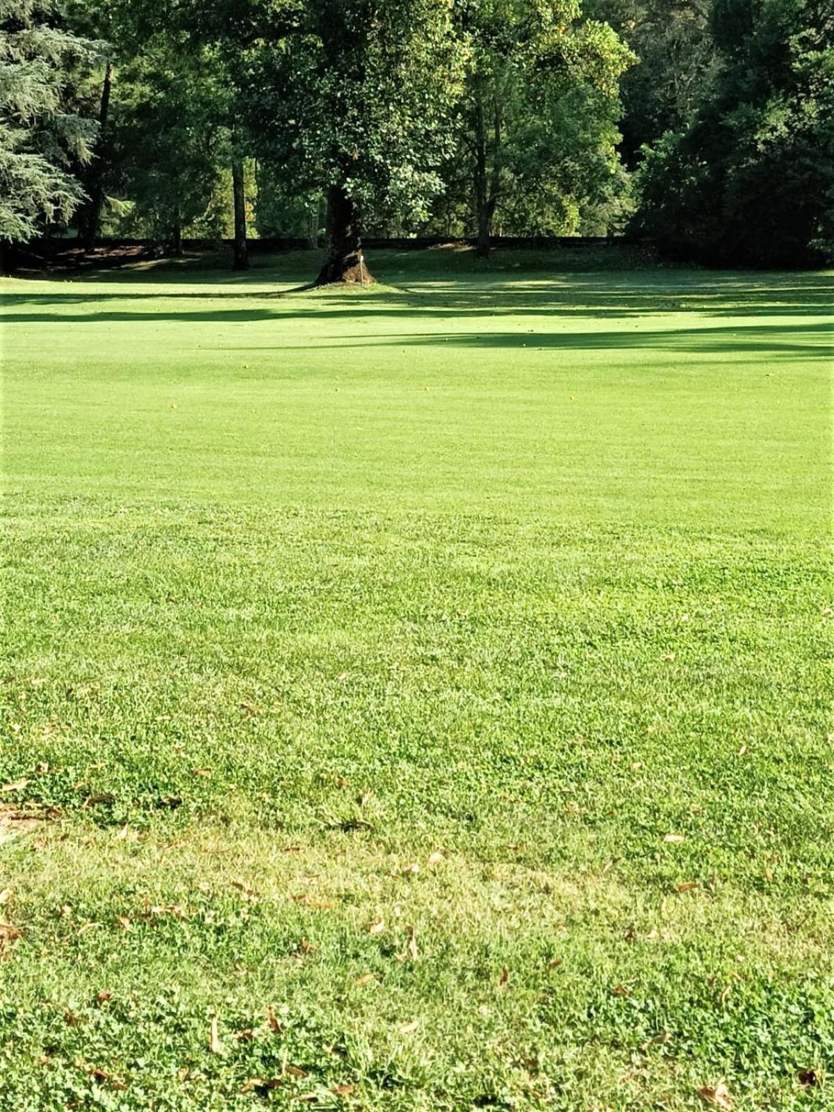 Fronte Del Golf Διαμέρισμα Ραπάλο Εξωτερικό φωτογραφία