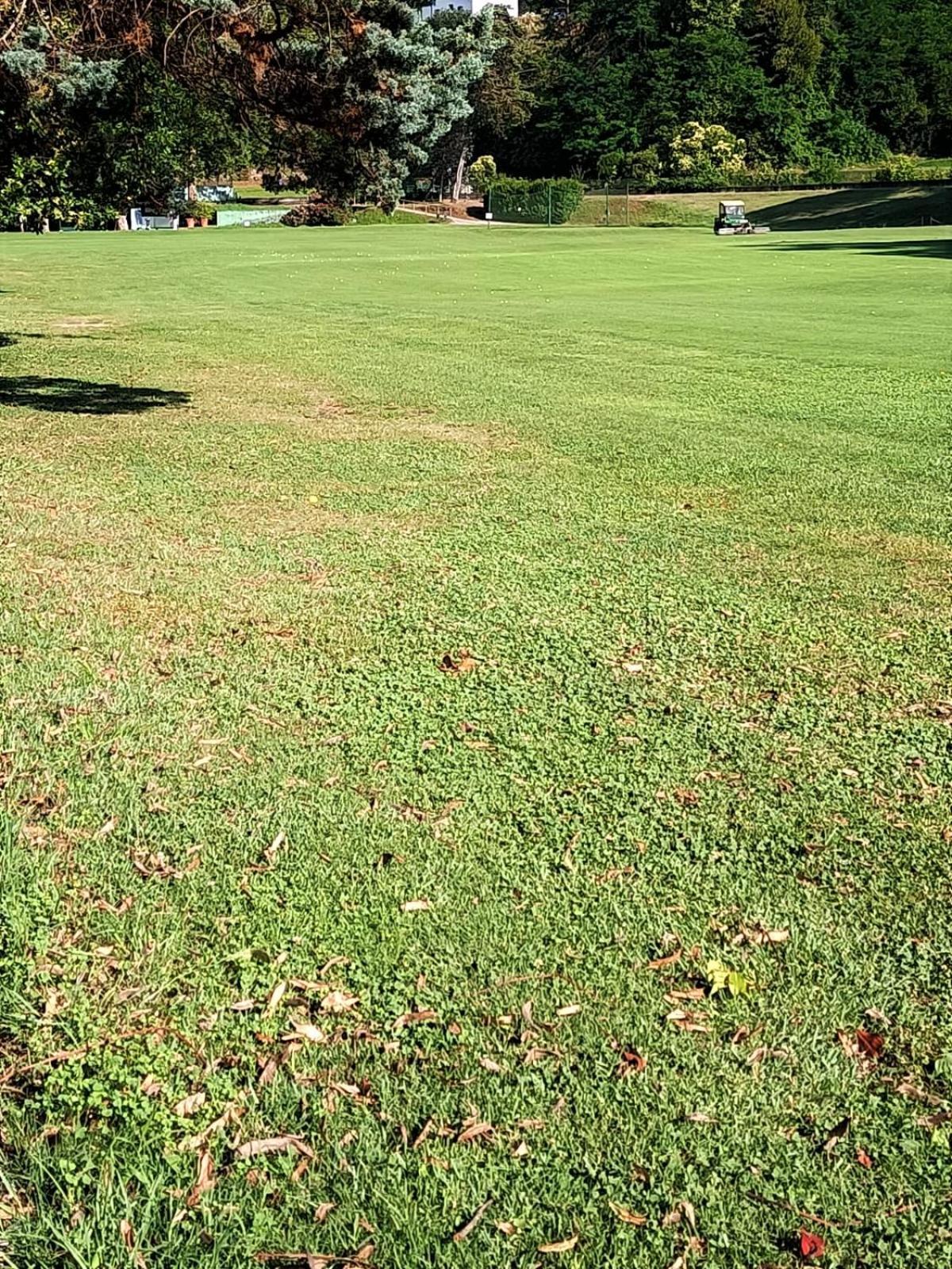 Fronte Del Golf Διαμέρισμα Ραπάλο Εξωτερικό φωτογραφία